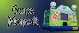 Gurnee Moonwalk